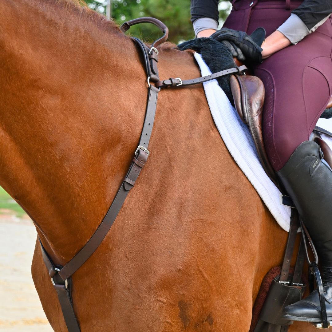 Southlake Paws 3-Point Breastplate with Double Neck Strap, securely fitted on a horse, showcasing its leather design and func