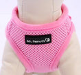 Load image into Gallery viewer, Mr. Peanut's PupTrek Harness and Leash Set,  Small Dog/Cat Soft Mesh Step In Harness Vest
