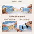 Load image into Gallery viewer, Blue Velvet Set
