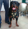 Load image into Gallery viewer, The "Maximus" harness black & gold
