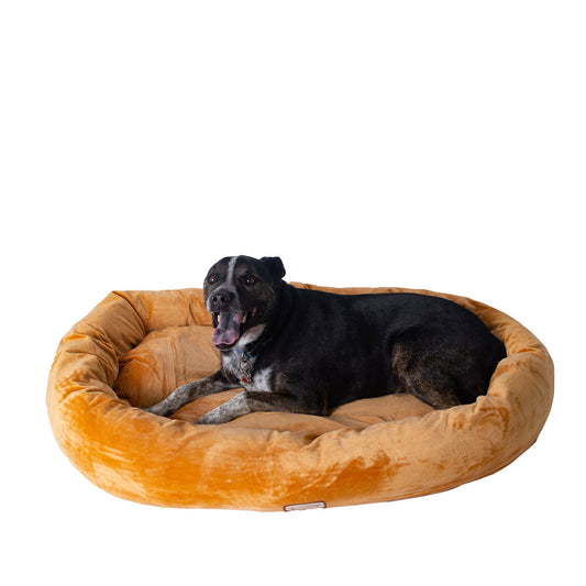 Armarkat Bolstered Pet Bed Mat - Brown - Large