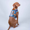 Load image into Gallery viewer, Rocker Harness 2.0
