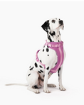 Load image into Gallery viewer, Harness - Southlake Paws

