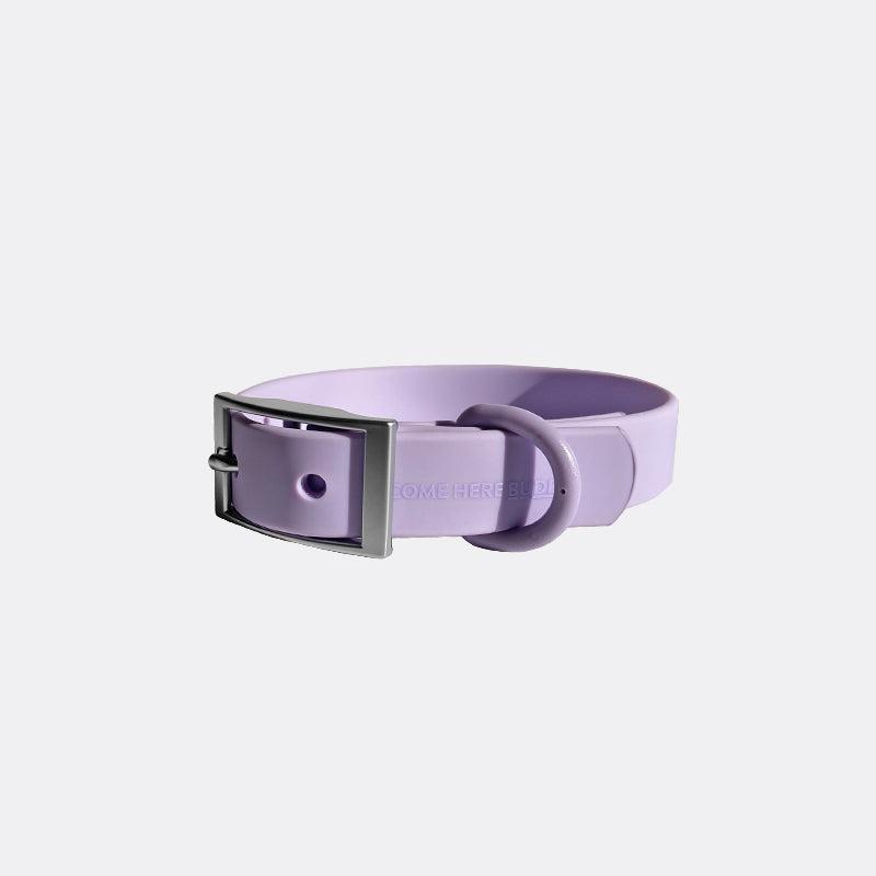 Everyday Collar - Southlake Paws