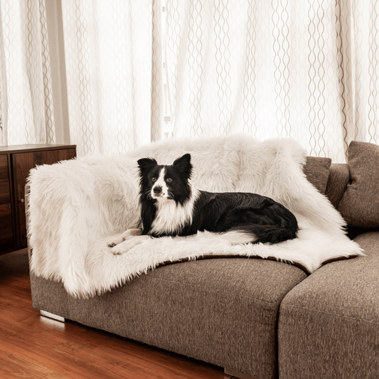 PupProtector™ Waterproof Throw Blanket - Polar White - Southlake Paws