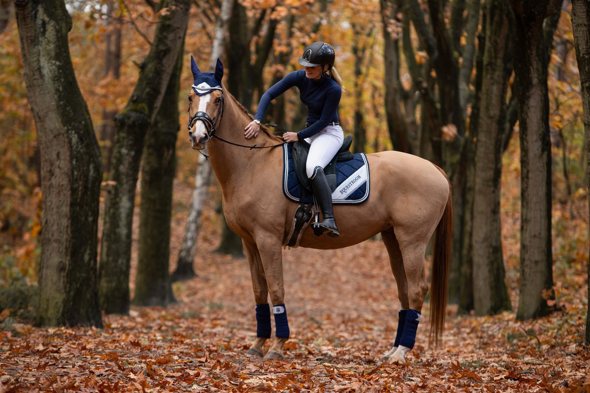Southlake Paws Blue Astra Saddle Pad Set displayed on a horse in a forest with autumn leaves, rider adjusting the saddle pad.