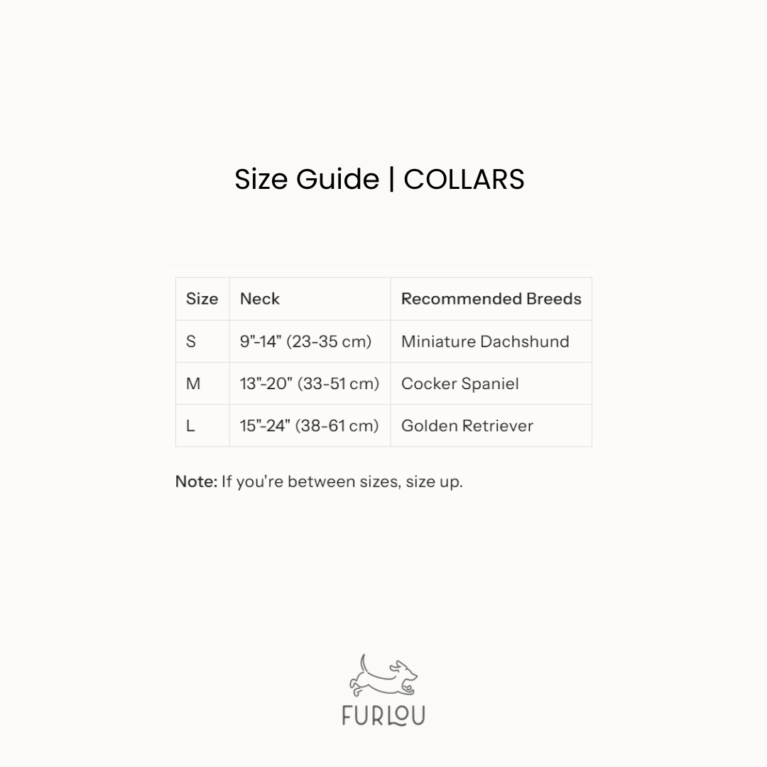 'Yellow' - Velvet Dog Collar - Southlake Paws