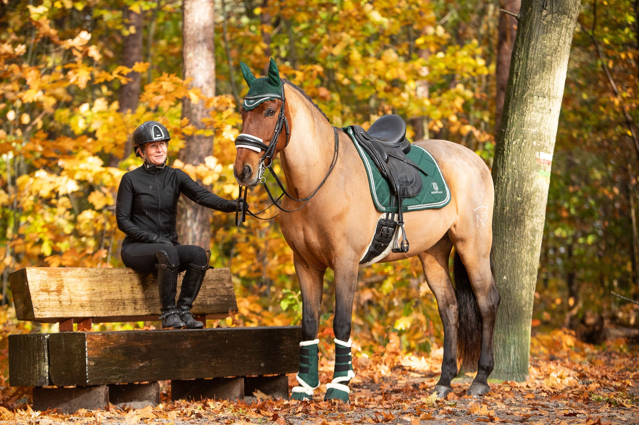Southlake Paws Pine Grove Bell Boots on a horse, with a rider in a forest setting surrounded by autumn foliage.