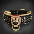 Load image into Gallery viewer, Irondog Collar
