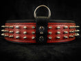 Load image into Gallery viewer, "Silver Giant" collar Red
