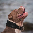Load image into Gallery viewer, Plain "Style" Collar black
