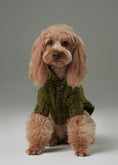Load image into Gallery viewer, GLACIER PET SWEATER - OLIVE GREEN

