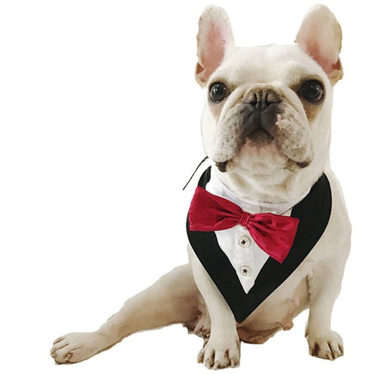 2-Button Tuxedo & Bow Tie Dog Bandana