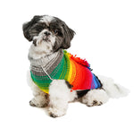 Rainbow Mohawk Dog Sweater
