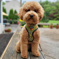 Load image into Gallery viewer, Wild Thing Reversible Harness - Southlake Paws
