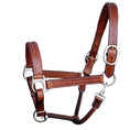 Load image into Gallery viewer, ExionPro Triple Stitched Leather Halter - Brass Nickel Hardware

