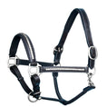 Load image into Gallery viewer, ExionPro Clincher Leather Halter - Brass Nickel Hardware
