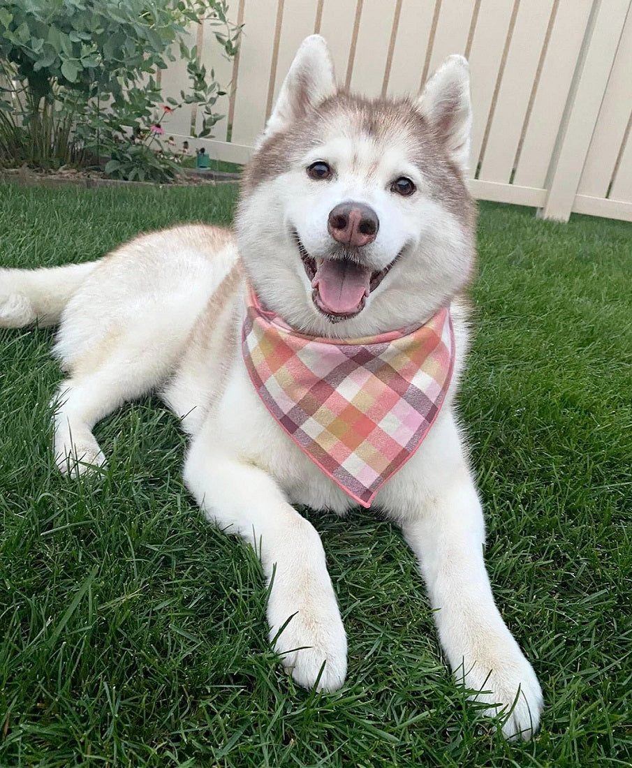Flannel Dog Bandana, Plaid Bandana, Fall Bandana, High Quality Fabric, Peach - Southlake Paws