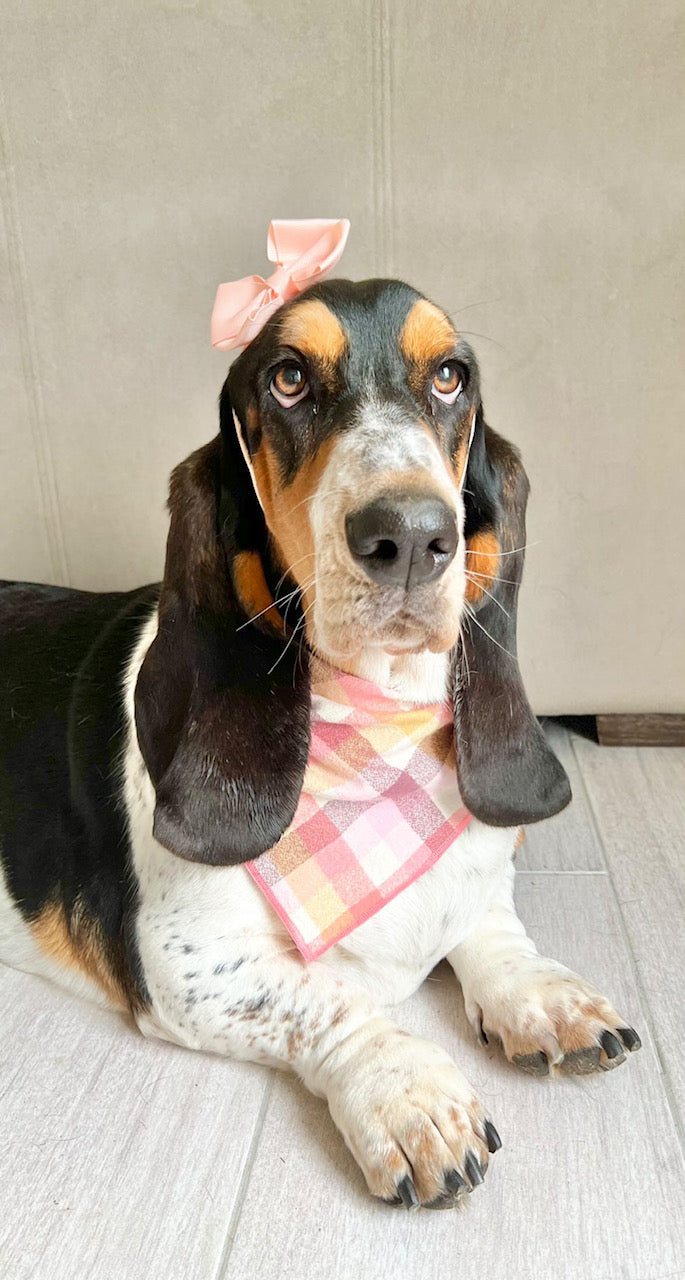 Flannel Dog Bandana, Plaid Bandana, Fall Bandana, High Quality Fabric, Peach - Southlake Paws