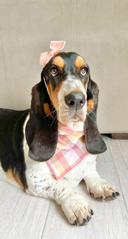 Flannel Dog Bandana, Plaid Bandana, Fall Bandana, High Quality Fabric, Peach