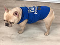Load image into Gallery viewer, Parisian Pet 'Big Brother' Embroidered Pet T-Shirt – Cute Sibling Announcement Dog Shirt for Dogs & Cats, Blue

