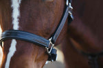 ExionPro Fancy Stitched Leather Halter - Brass Nickel Hardware