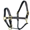 Load image into Gallery viewer, ExionPro Fancy Stitched Leather Halter - Brass Hardware
