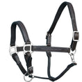 Load image into Gallery viewer, ExionPro Fancy Stitched Leather Halter - Brass Nickel Hardware

