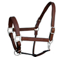 Load image into Gallery viewer, ExionPro Fancy Stitched Leather Halter - Brass Nickel Hardware
