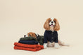 Load image into Gallery viewer, BERT CARDIGAN SWEATER - DARK GREEN
