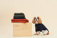 Load image into Gallery viewer, BERT CARDIGAN SWEATER - DARK GREEN
