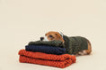 Load image into Gallery viewer, BERT CARDIGAN SWEATER - DARK GREEN
