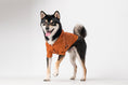 Load image into Gallery viewer, BOWERY RAINCOAT - ORANGE
