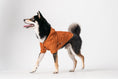 Load image into Gallery viewer, BOWERY RAINCOAT - ORANGE
