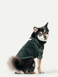 Load image into Gallery viewer, STAINWAY SHIRT - GREEN
