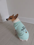 Load image into Gallery viewer, Parisian Pet 'Birthday Boy' Fun Slogan Dog T-Shirt –Premium Embroidered Celebratory Clothing for Dogs & Cats, Blue
