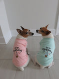Load image into Gallery viewer, Parisian Pet 'Birthday Boy' Fun Slogan Dog T-Shirt –Premium Embroidered Celebratory Clothing for Dogs & Cats, Blue
