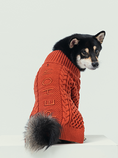 Load image into Gallery viewer, BERT CARDIGAN SWEATER - ORANGE
