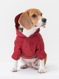 Load image into Gallery viewer, Tribeca adjustable velcro raincoat -  Burgundy
