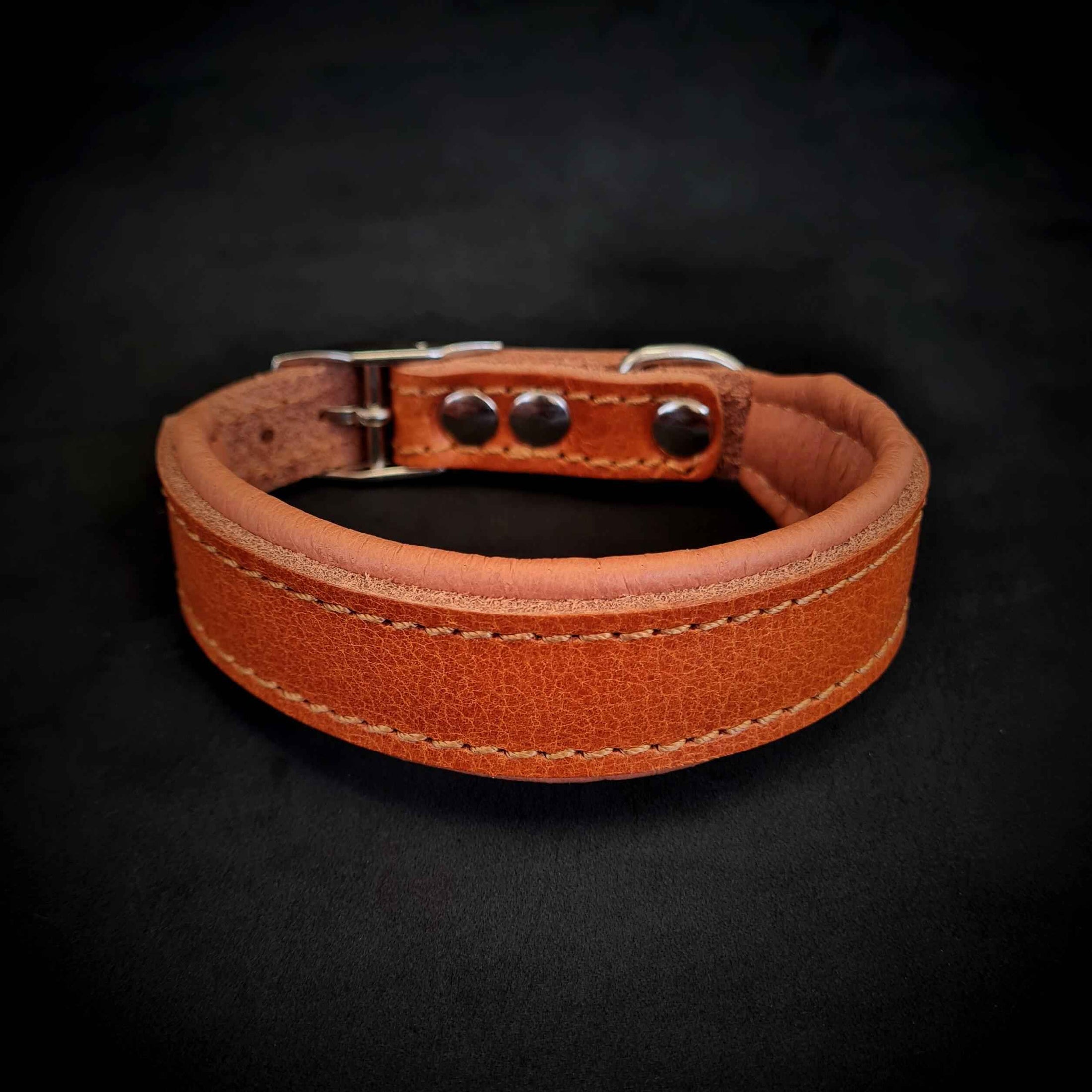 Clean Puppy Collar