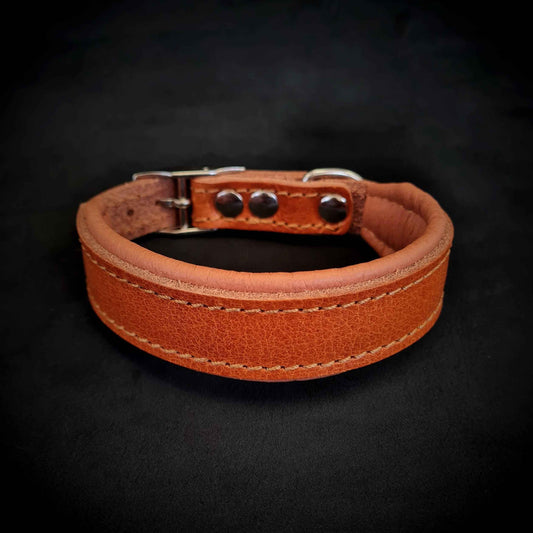 Clean Puppy Collar