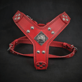 Load image into Gallery viewer, The ''Eros'' harness red Small to Medium Size
