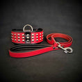 Load image into Gallery viewer, The "Star" Set- collar & leash
