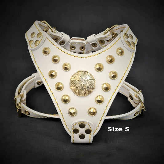 The ''Maximus'' harness White & Gold Small to Medium Size