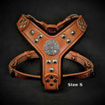 Load image into Gallery viewer, The ''Maximus'' harness brown & silver Small to Medium Size
