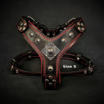 The ''Eros'' harness Black & Red Small to Medium Size