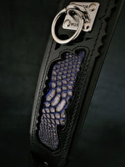 The ''Indigo'' collar 