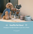 Load image into Gallery viewer, Soufflé Pet Bowl - Frozen Blue
