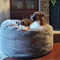 Load image into Gallery viewer, Bean Bag - Queen - Chinchilla
