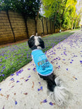 Load image into Gallery viewer, Parisian Pet 'Is It Friday Yet?' Embroidered Dog T-Shirt – Trendy Weekend Dog Apparel for Dogs & Cats, Light Blue
